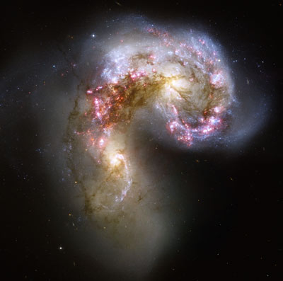 Los Ncleos de las galaxias Antenas, NGC 4038-9, revelan la formacin de millones de estrellas. HST/NASA - ESA.