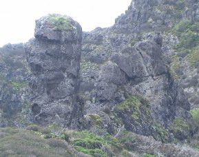 Roca con aspecto de cabeza tallada, en la Isla Juan Fernndez, Chile. Crdito: Jorge Ianiszewski, Nov. 2012.