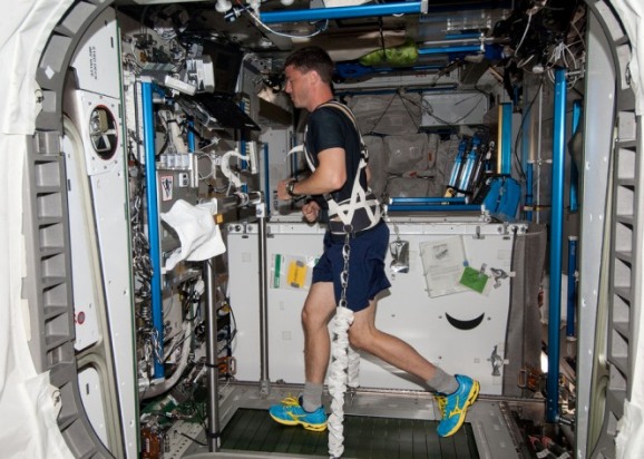 El ingeniero de vuelo Reid Wiseman de la NASA, de la Expedición 40 hace running en la EEI. Crédito: NASA.