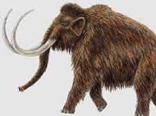Ilustracin de un mamut. EFE