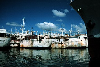 Illegal "pirate" fishing vessels in Port Louis.