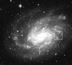 Los campos obervados en la galaxia NGC 300. Crédito: ESO.