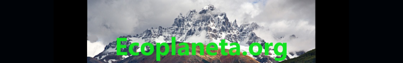 Ir a la Portada. Friso: Ecoplaneta.