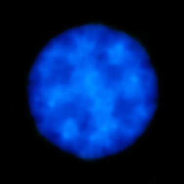 ALMA observa a Urano. Crédito: ALMA. Haga clik para agrandar.